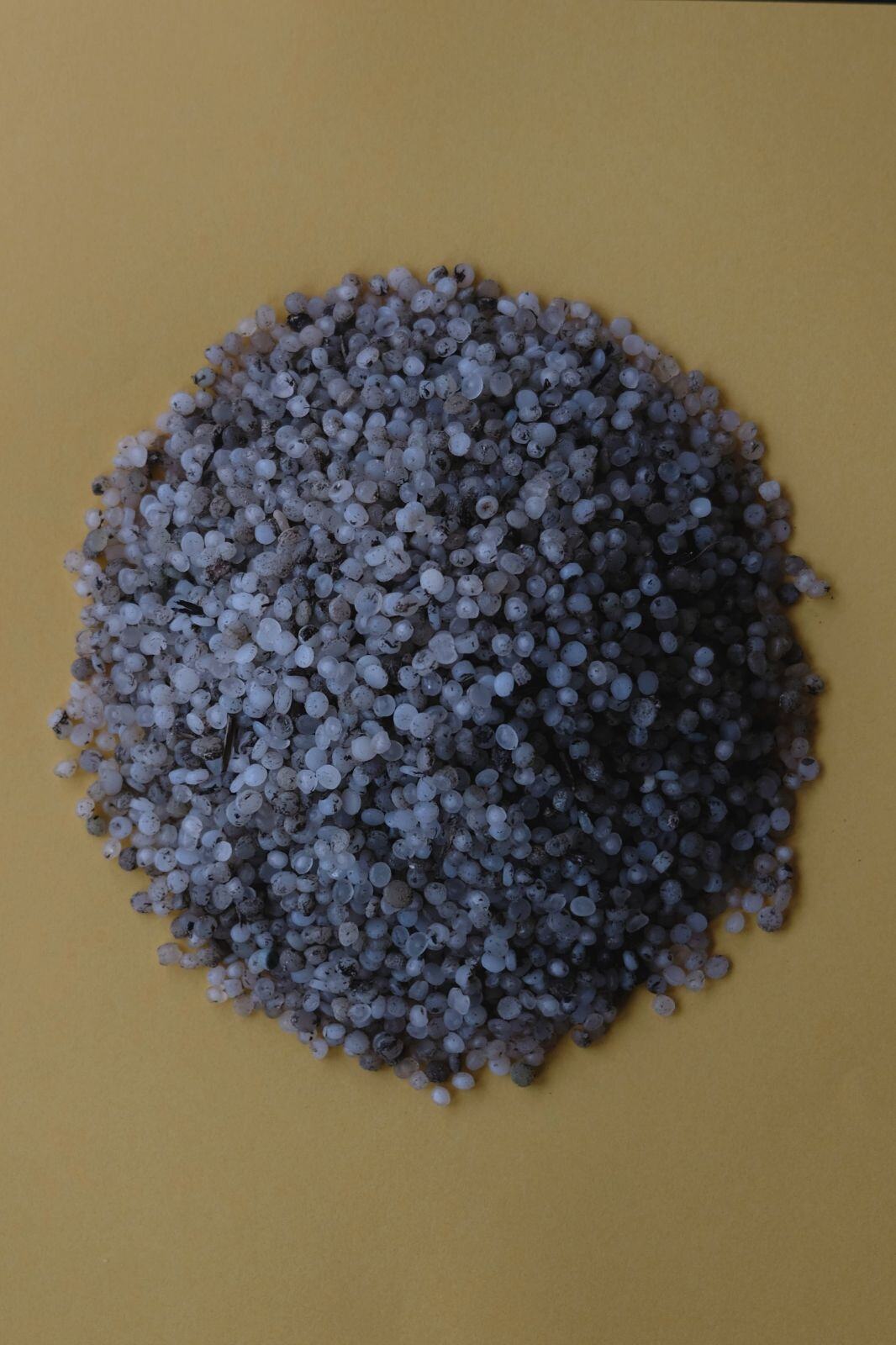 Katie Abare Charleston Plastic Pellets