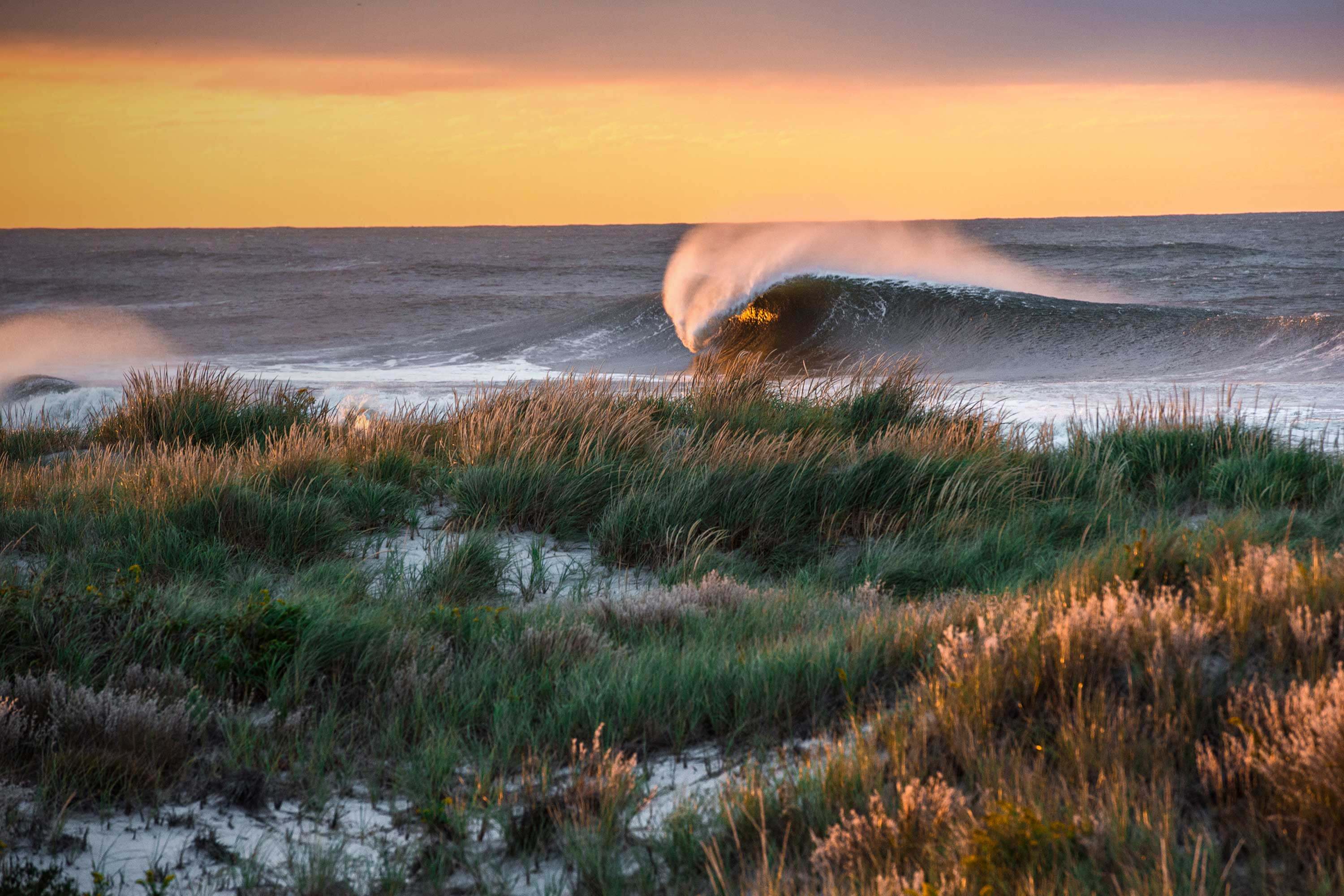 Ocean view with a wave over grass